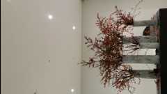 Museum of Modern and Contemporary Art - MMCA31